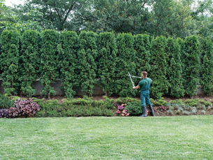 Consigue Más Llamadas Subiendo Fotos Nuevas Cada 30 Días