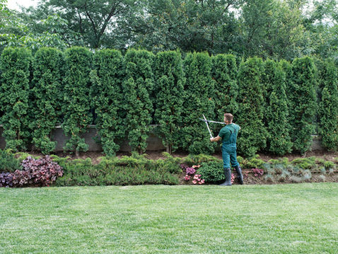 jardinier