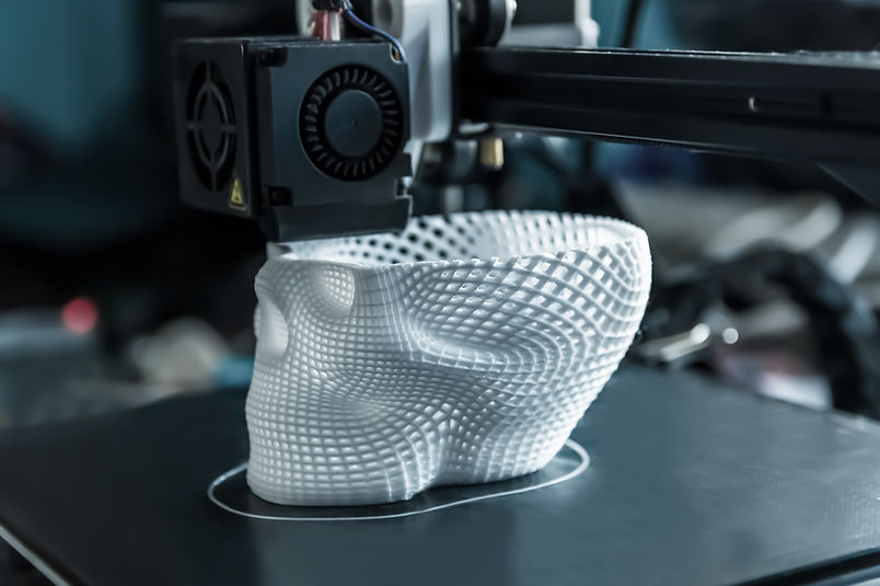 Printing Plastic Skull