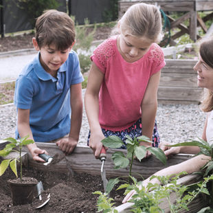 Dicas para um consumo consciente