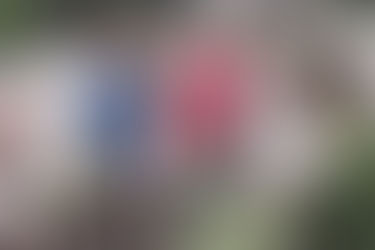 10 benefits of early garden education