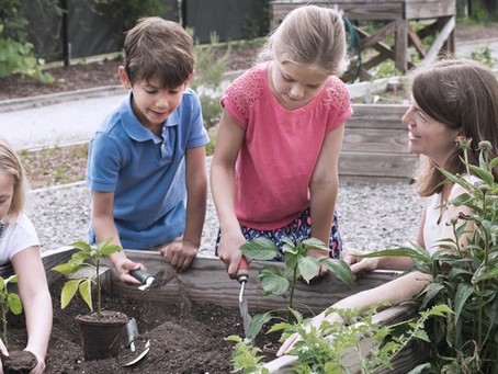 10 benefits of early garden education