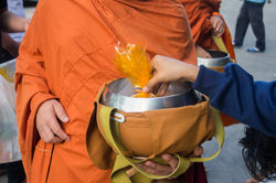 offering food to the monk