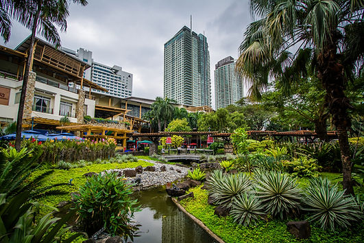 Buildings and Park