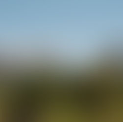 Crafting the Perfect Lawn for Your Landscape