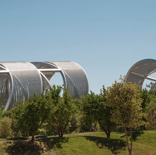 Crafting the Perfect Lawn for Your Landscape