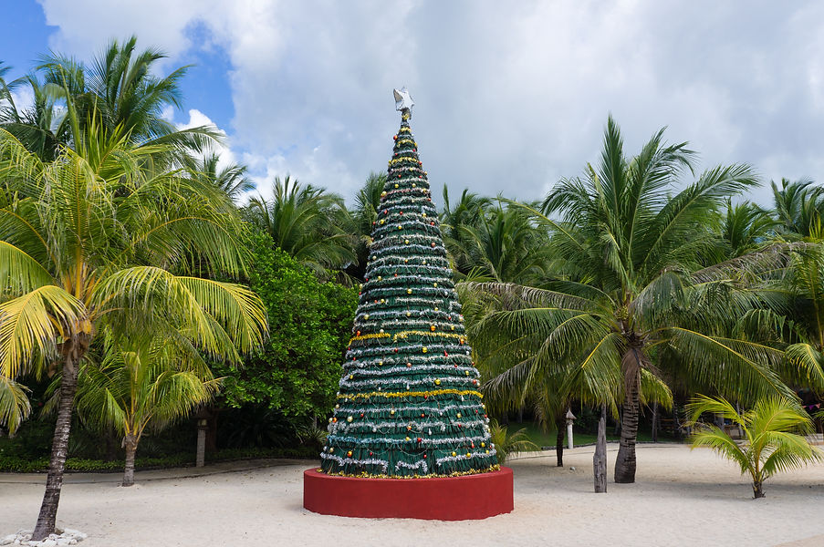 Christmas Celebration