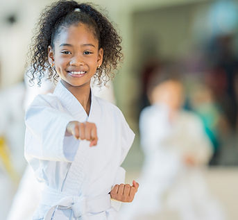 Practicing Martial Arts