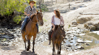 Top Places to Live in Kentucky: Unveiling the Finest Destinations to Call Home