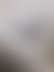 INDEPENDENT VS TRADITIONAL PUBLISHING