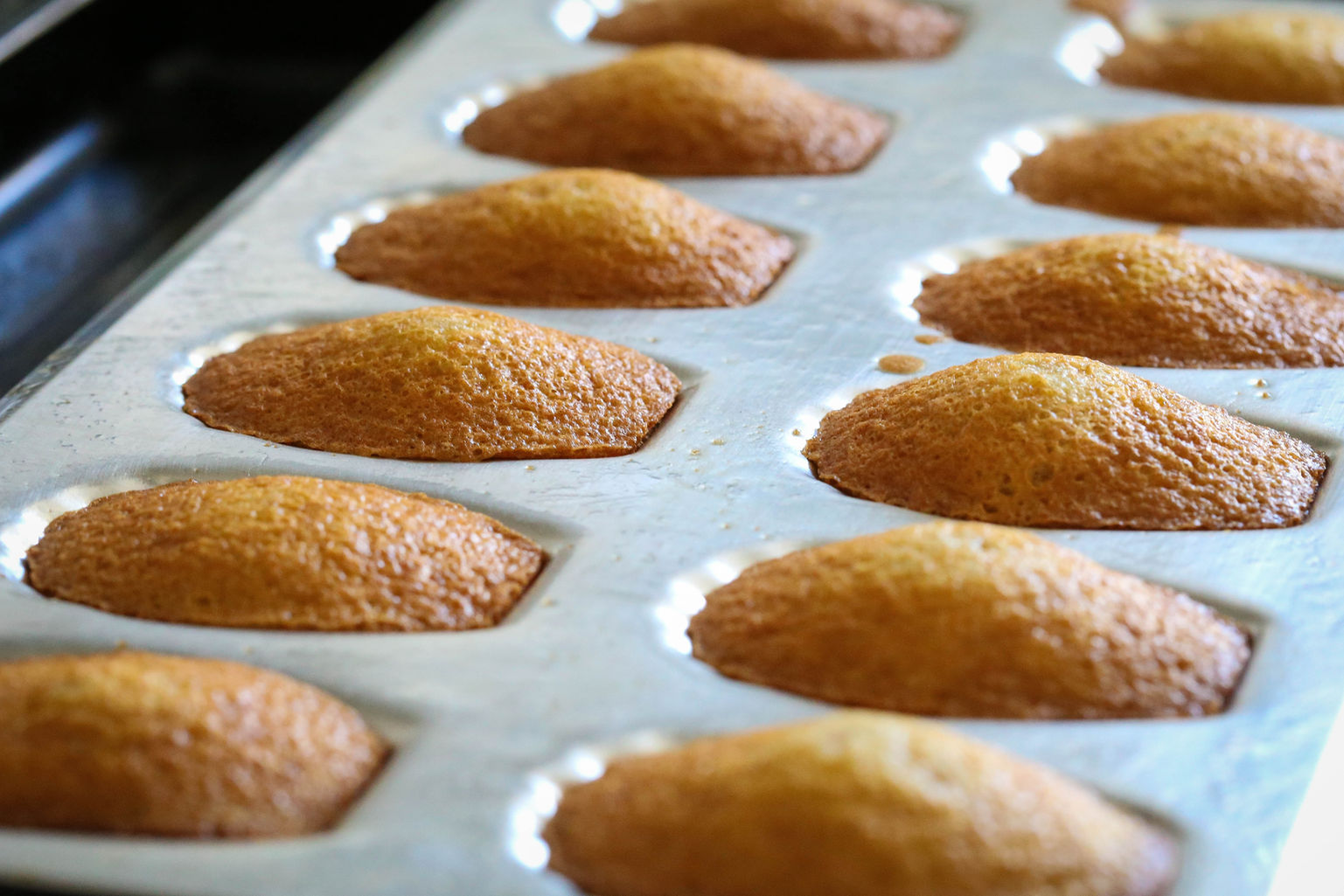 Freshly Baked