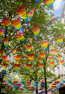 Pride Flags