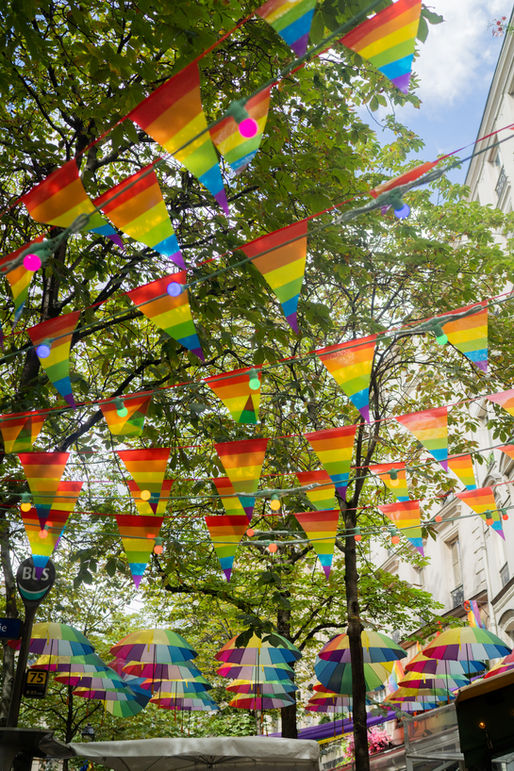 Drapeaux arc en ciel dans les arbres