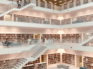 history is collective knowledge off what passed