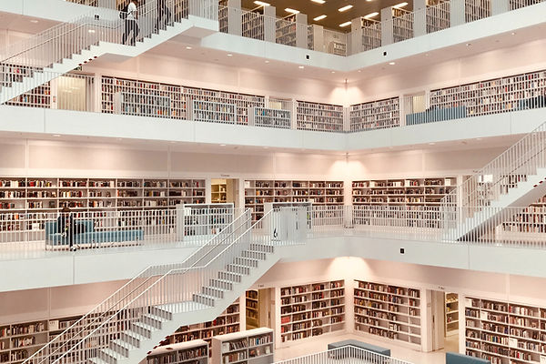 Modern Library Interior