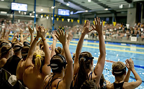 Swimming Pool Audience