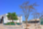 Modern Urban Plaza