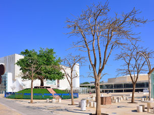 Commercial Corner: Compliance Reminder for Retail Plazas