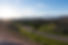 Countryside Road