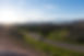 camino del campo