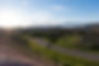 Countryside Road