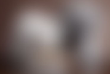 Tips for Keeping Pet Food Fresh