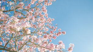 Bahar, doğanın uyanışına tanıklık ettiğimiz bir mevsim olduğu gibi, evlerimizde de kapsamlı temizlik yapmak için mükemmel bir zamandır. Mevsimlik temizlik, özellikle..