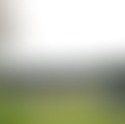 IPA Terminates Golf Course Architecture & Golf Development Categories
