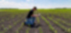 Farm-to-Fork Inspections