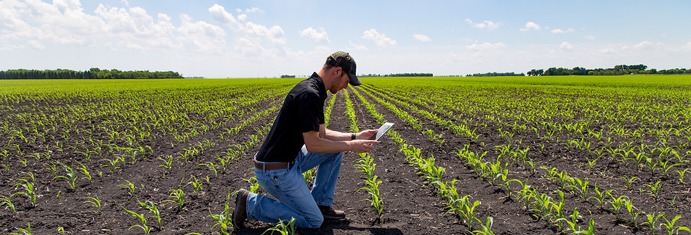 Agronomist with Tablet