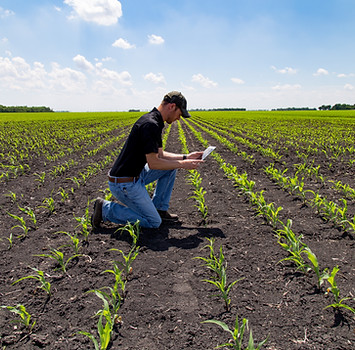 Engenheiro agrônomo com Tablet