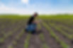Agronomist with Tablet
