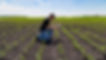 mark-eder-R9OS29xJb-8-unsplash-flat%20(1)_edited.jpg