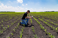 Agronomist with Tablet