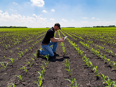 Agronomist with Tablet