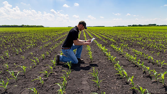Agronomist with Tablet