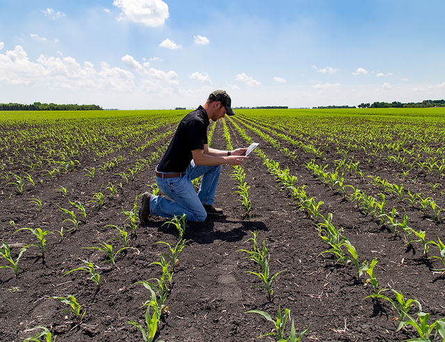 Agronomist with Tablet