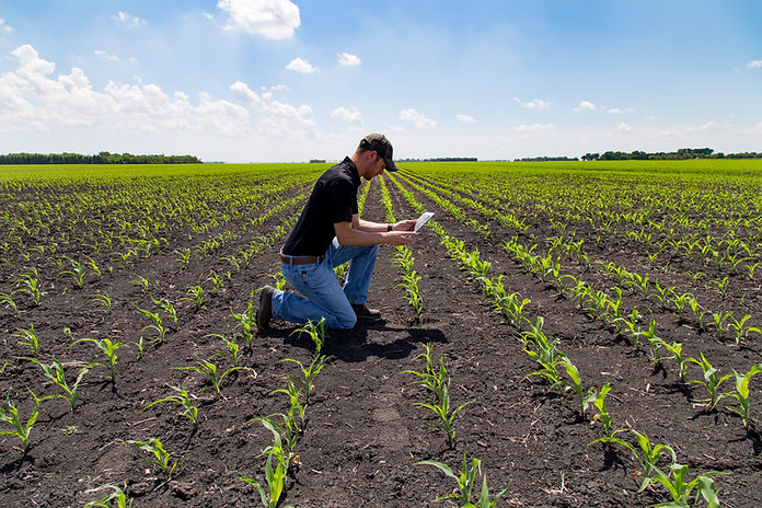 Agronomist with Tablet