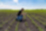Agronome avec tablette