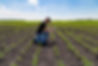 Agronomist with Tablet