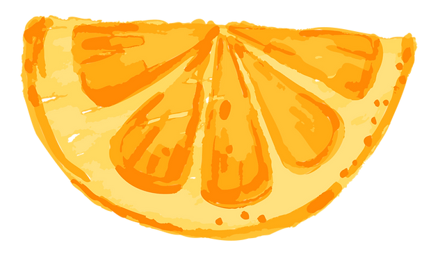 Orange Slice Illustration