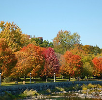 Autumn