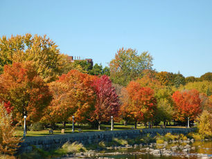🍂11月になりました