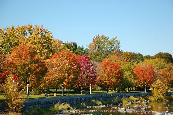 Autumn