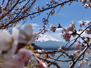 ~新年度のごあいさつ~