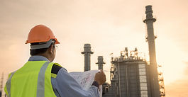 Tesserini di riconoscimento