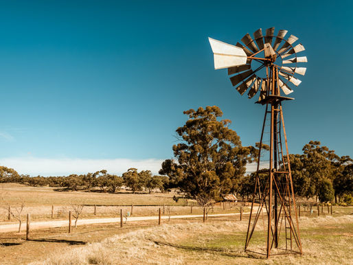 Empowering Regional Not-for-Profits with Online Learning: How Government Can Support Governance and Sustainability