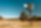 Rusty Windmill