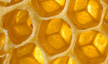 Honeycomb Close-Up