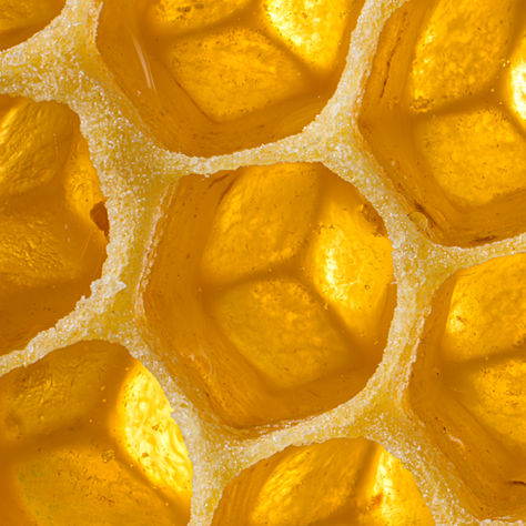 The Beauty of Symmetry in Nature